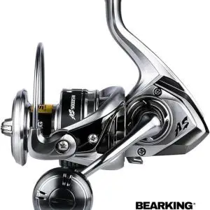 Bearking Assassin