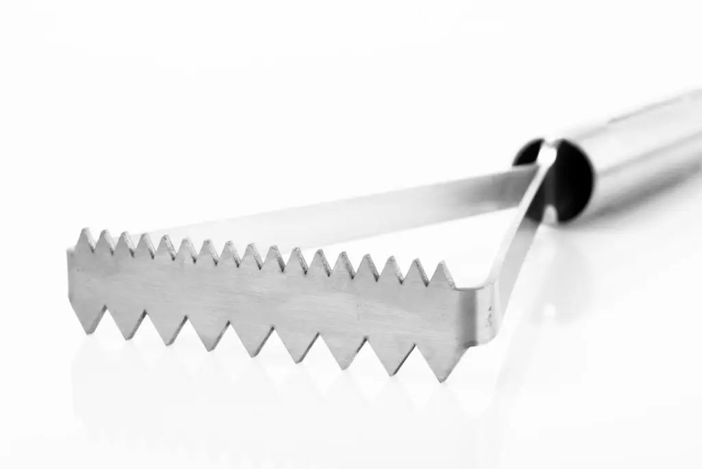 Boemvas Fish Scaler – Stainless Steel 1 Boemvas Fish Scaler – Stainless Steel