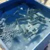 Boemvas Live Bait Pond – PVC 3 boemvas live bait pond 2