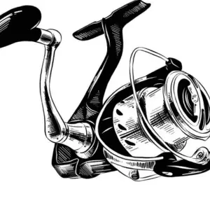 Home page 2 REELS