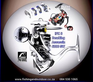 Bearking 6000 under R500