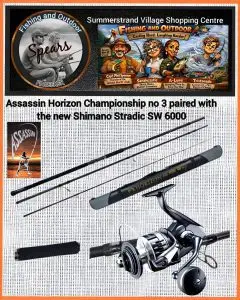 horizon stradic