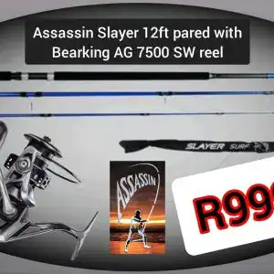 assassin slayer 12ft + bearking 7500