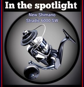 shimano stradic 6000 sw