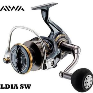 DAIWA CALDIA SW 6000