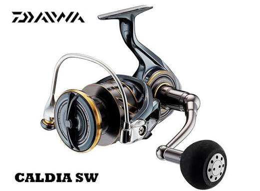 DAIWA CALDIA SW 6000